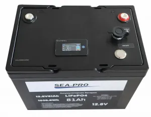 ������� ����������� 12� 81�� LiFePo4 Sea-Pro