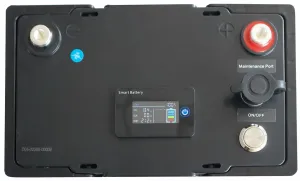 ������� ����������� SEA-PRO LiFePOL4 12.8V 52 Ah